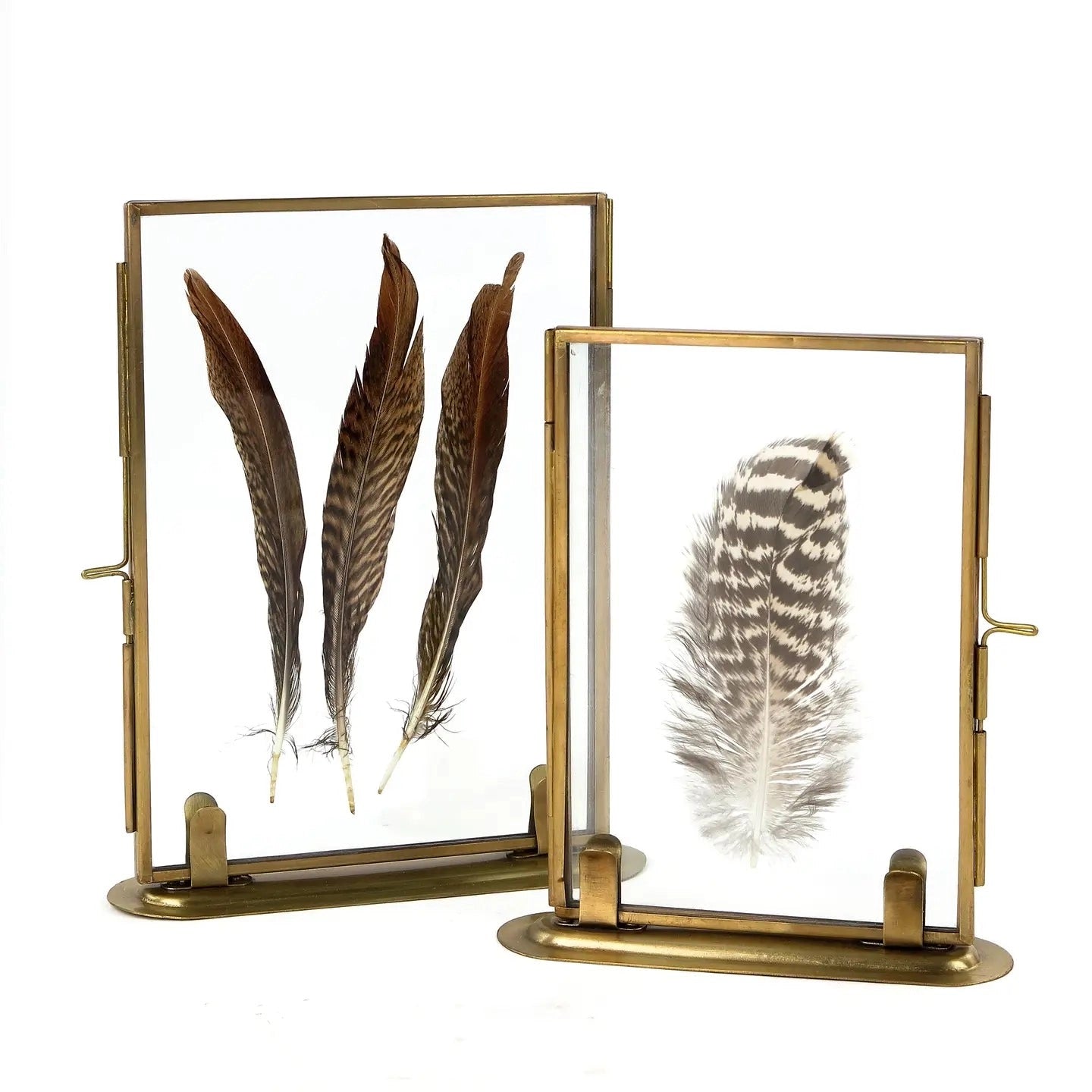 Brass Frame with Feather - 5x7