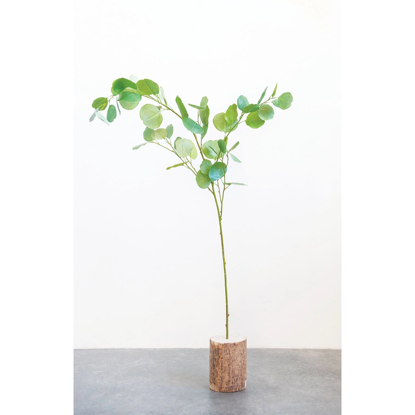 Faux Eucalyptus