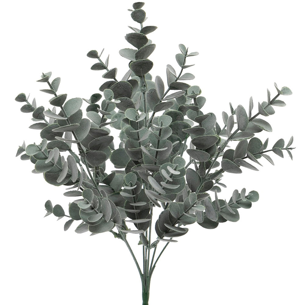 Bush Eucalyptus Grey