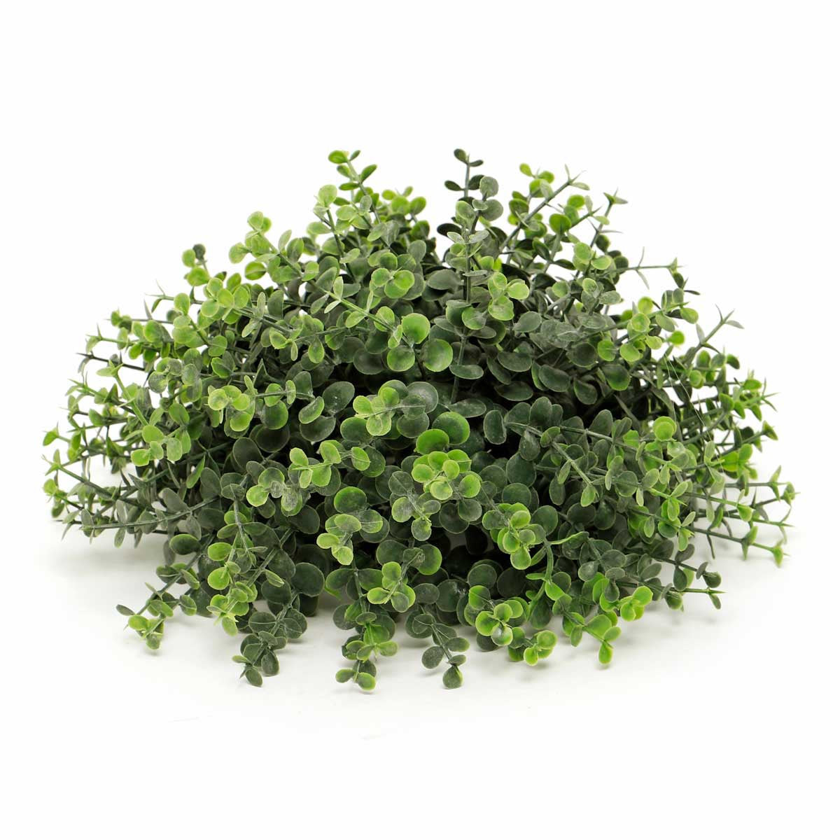 Ball Dome Mini Privet Large - Dark Green