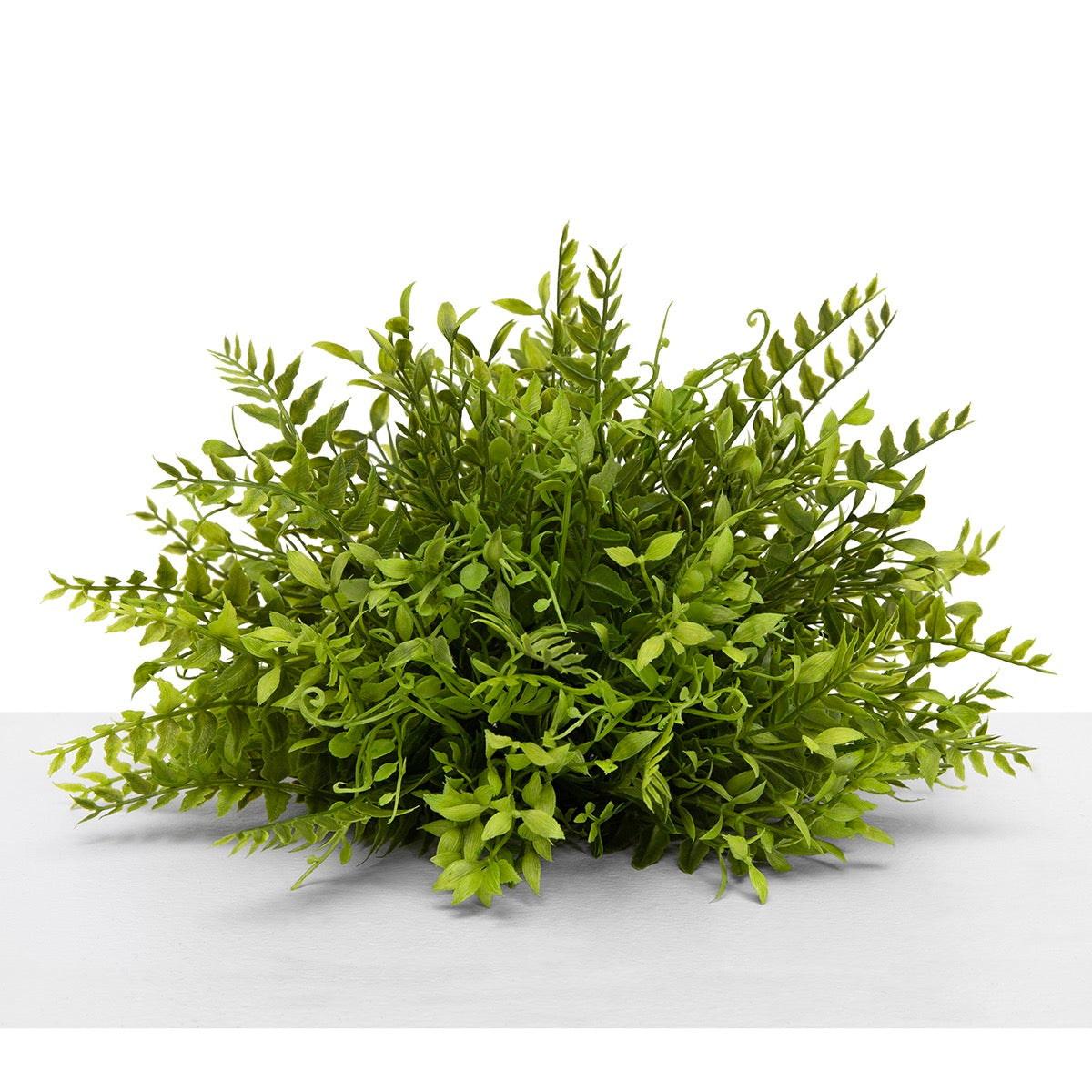 Dome Mini Privet & Fern LG