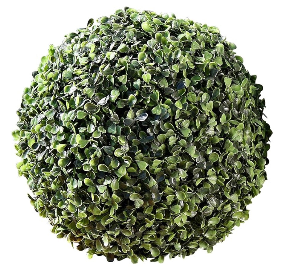 Ball Dome Boxwood LG
