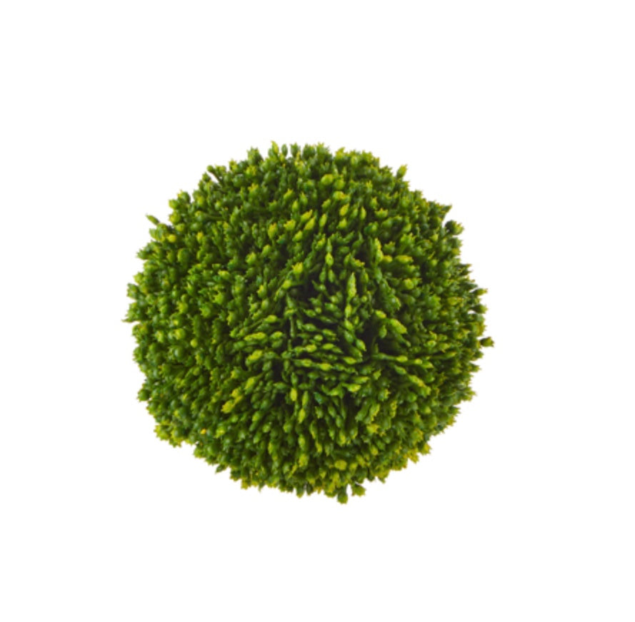 4" Sedum Ball
