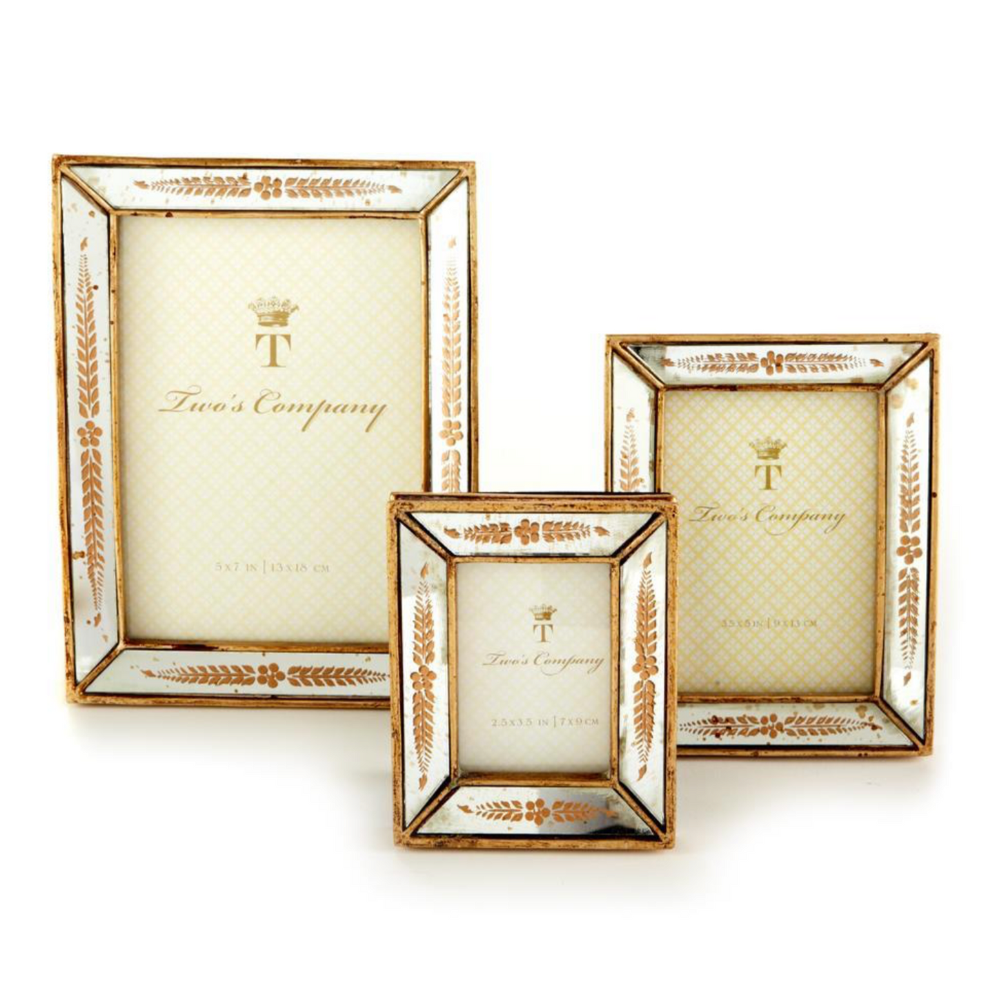 Mirrored Gold Leaf Frame