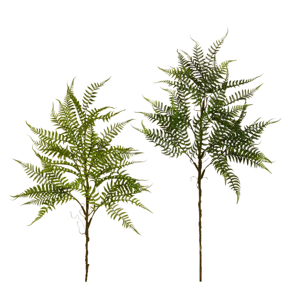 42" Fern Spray