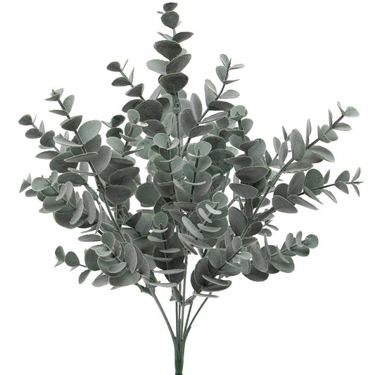 Bush Eucalyptus Grey