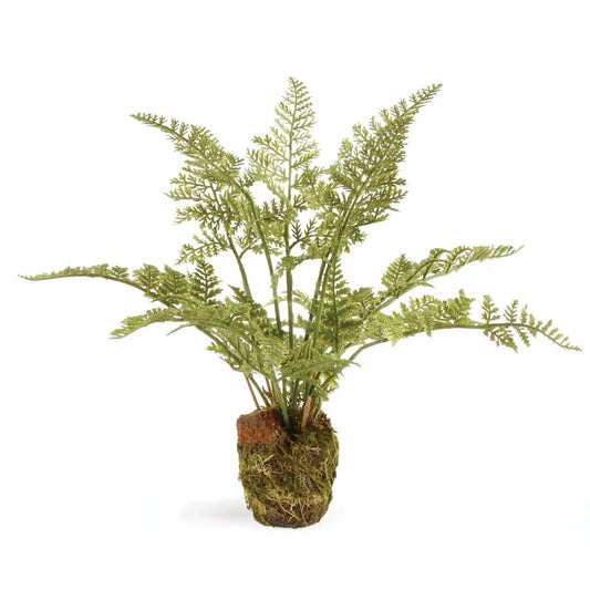 Soft Fern Drop-In 8.5"