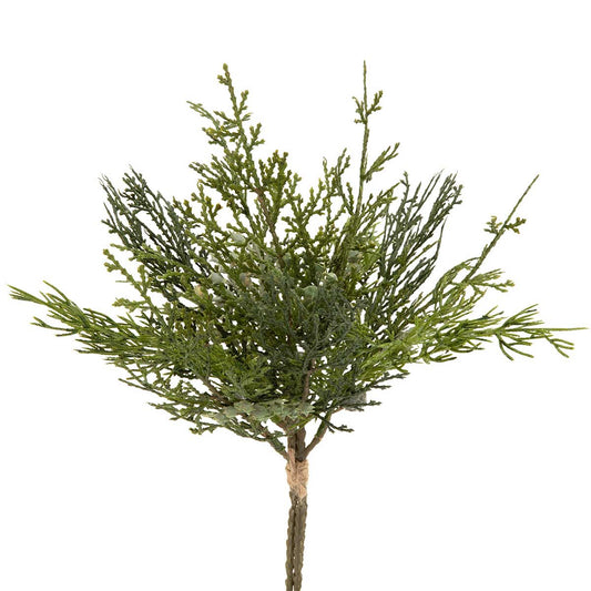 Bundle of 3 cedar pine GET PRICE