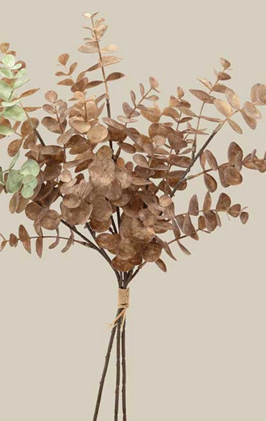 Eucalyptus Bundle- Clay