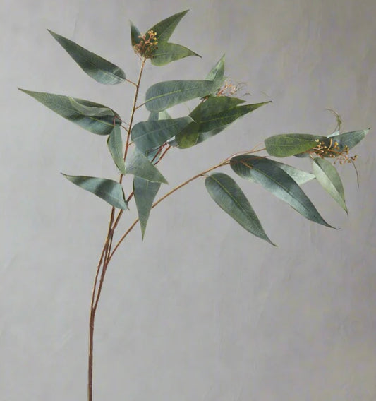 38" Eucalyptus Spray