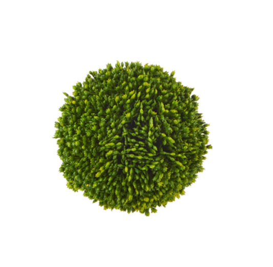 4" Sedum Ball