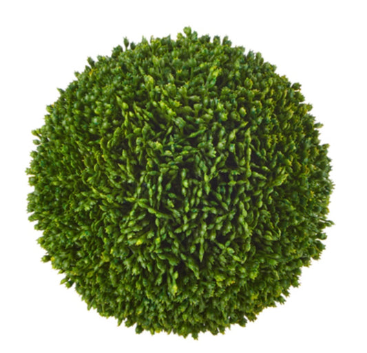 5.5" Sedum Ball