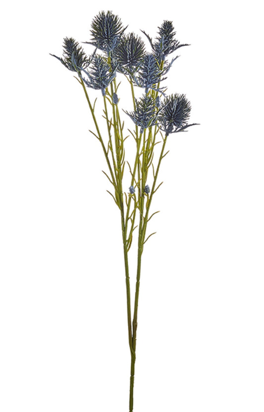 Blue Thistle Spray
