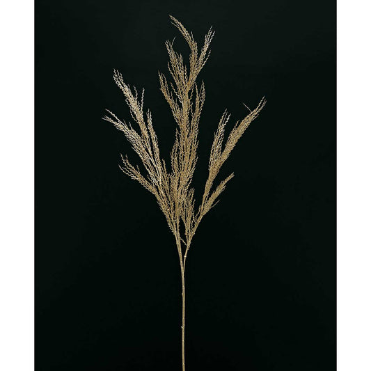 Willow Grass Spray - Champagne